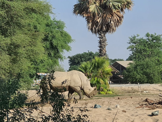 Dubai Safari Park