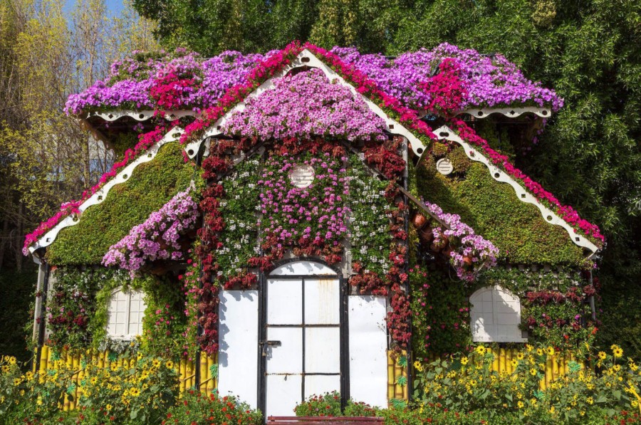 Exploring Dubai Miracle Garden