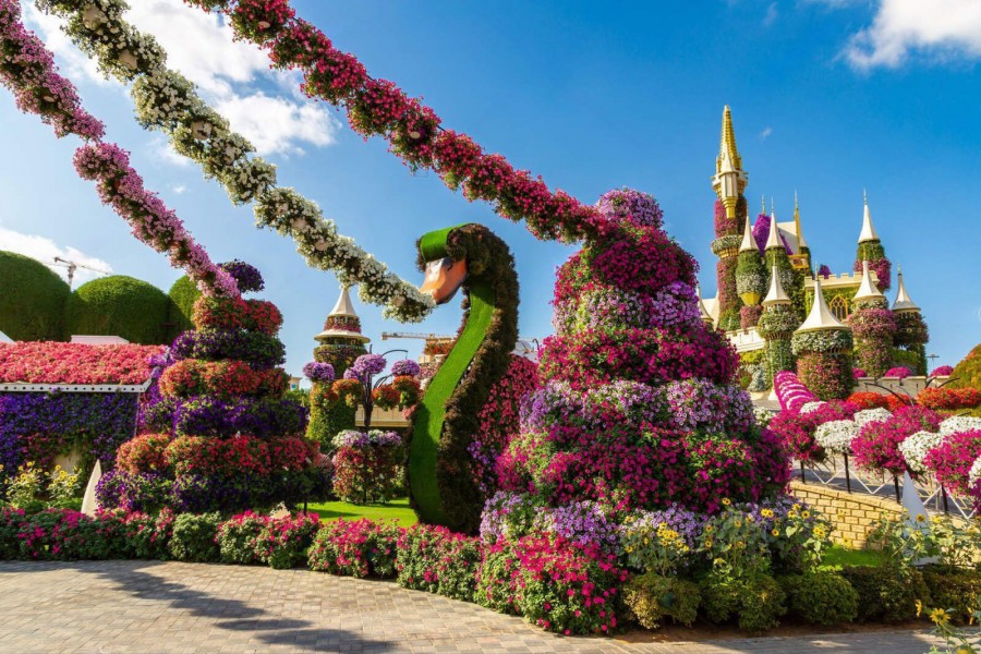 Exploring Dubai Miracle Garden