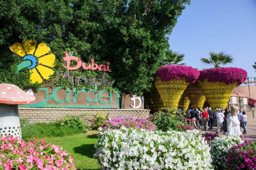 Exploring Dubai Miracle Garden