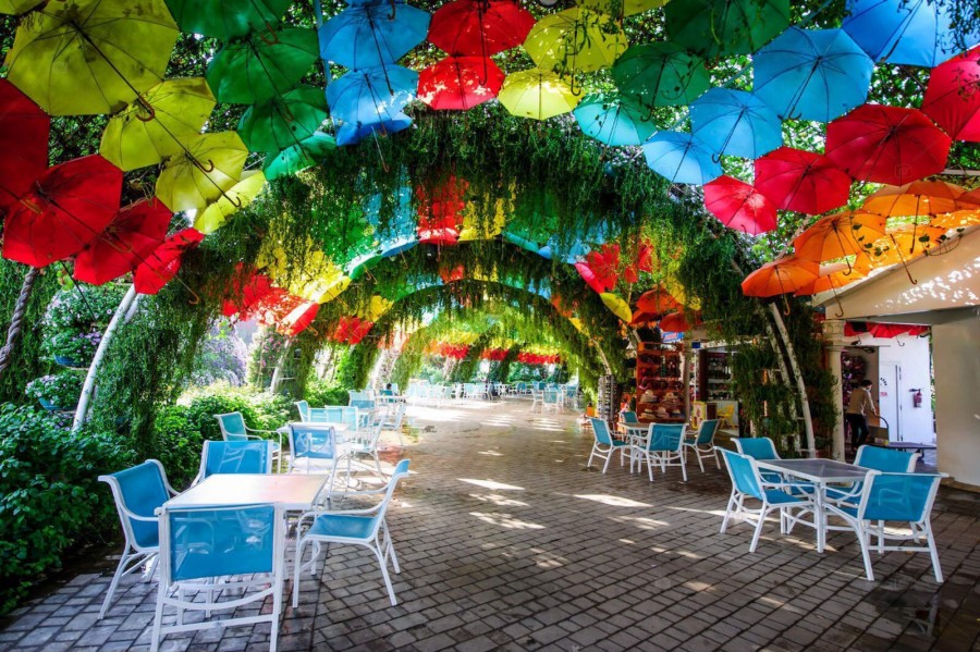 Exploring Dubai Miracle Garden