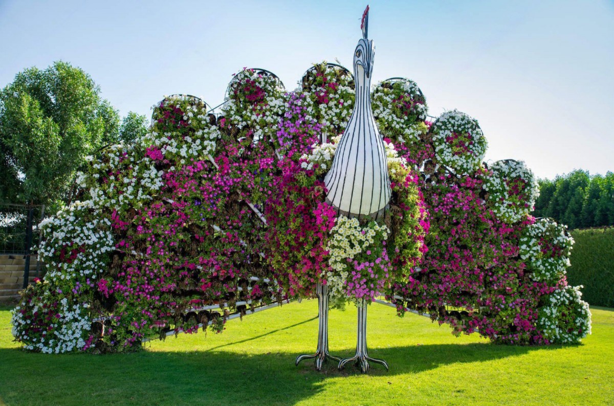 Dubai Miracle Garden