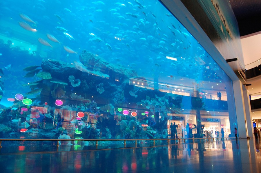 Dubai Aquarium and Underwater Zoo